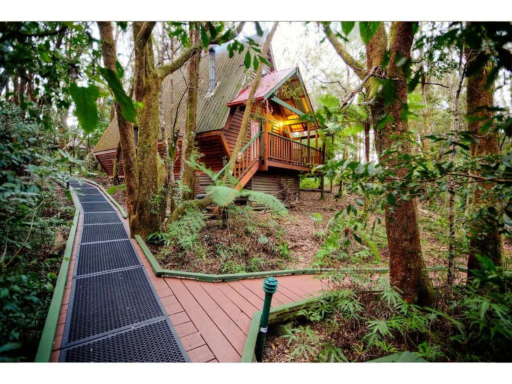 Деревянный коттедж The Mouses House Rainforest Retreat Спрингбрук Австралия