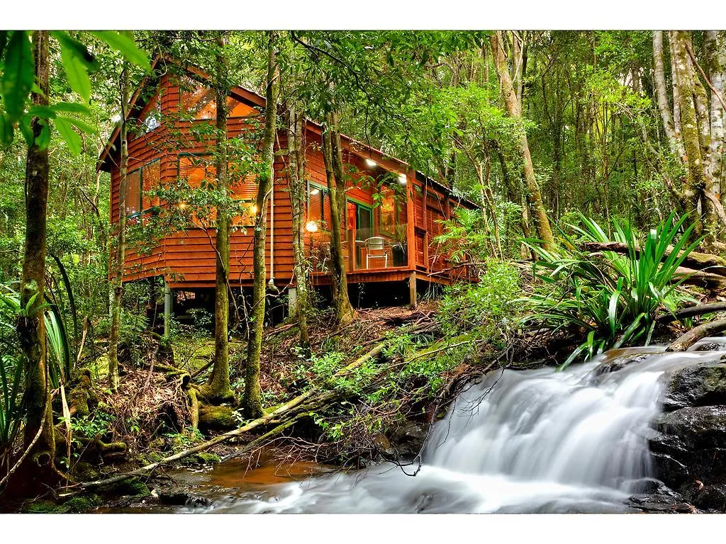 The Mouses House Rainforest Retreat Спрингбрук