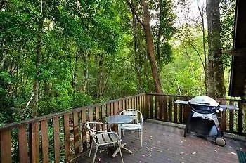 The Mouses House Rainforest Retreat Спрингбрук