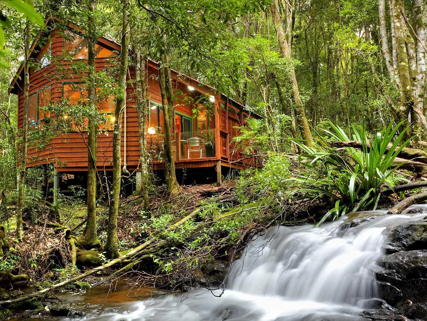 Деревянный коттедж The Mouses House Rainforest Retreat Спрингбрук