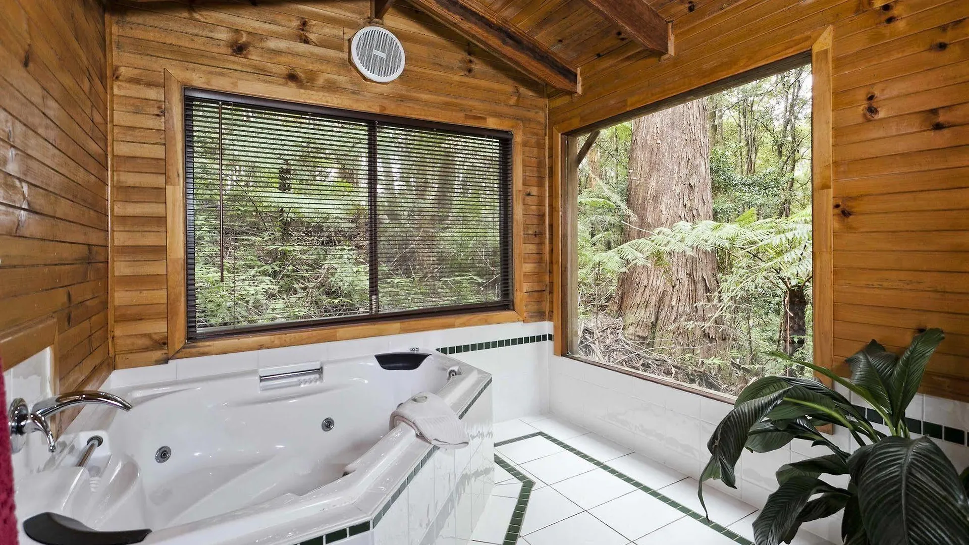 The Mouses House Rainforest Retreat Спрингбрук Деревянный коттедж