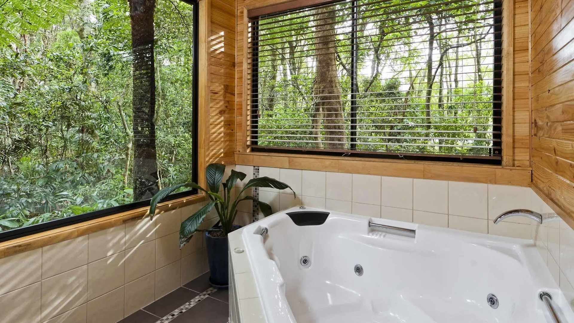 Деревянный коттедж The Mouses House Rainforest Retreat Спрингбрук